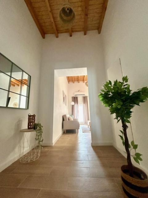 Gatu Casa Solera, Un Lugar Unico, "Preferente Para Mayores De 25 Anos Y Familias " El Puerto de Santa María Eksteriør bilde