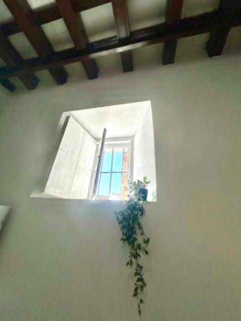 Gatu Casa Solera, Un Lugar Unico, "Preferente Para Mayores De 25 Anos Y Familias " El Puerto de Santa María Eksteriør bilde